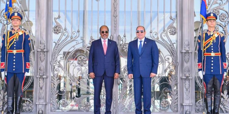الرئيس السيسي يستقبل رئيس جمهورية الصومال اليوم