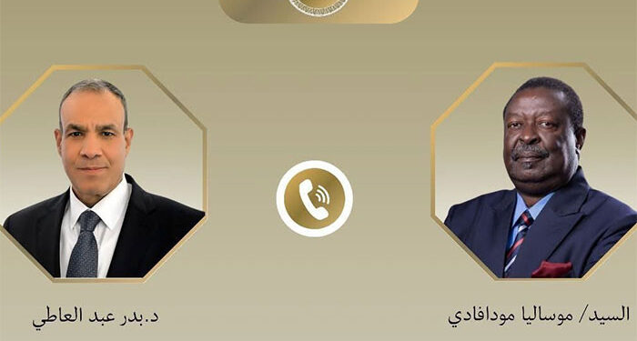 اتصال هاتفي بين وزير الخارجية ونظيره الكيني