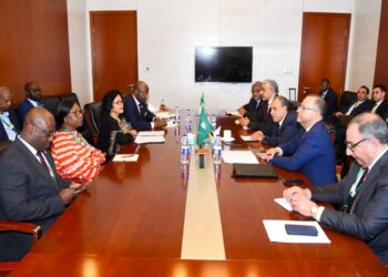 وزير الخارجية يلتقي رؤساء بنك التصدير والاستيراد الأفريقي وبنك التنمية الأفريقي والمديرة التنفيذية للنيباد