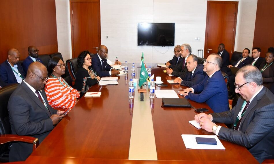 وزير الخارجية يلتقي رؤساء بنك التصدير والاستيراد الأفريقي وبنك التنمية الأفريقي والمديرة التنفيذية للنيباد