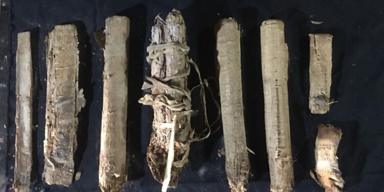 العثور على “خبيئة من التوابيت الملونة لمنشدي آمون” وثماني برديات نادرة من عصر الانتقال الثالث بالقرنة بالأقصر