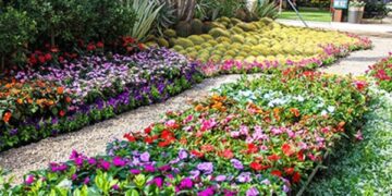 “الزراعة” تعلن فتح باب الحجز للمشاركة بمعرض زهور الربيع 2026