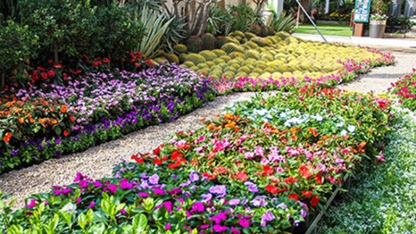 “الزراعة” تعلن فتح باب الحجز للمشاركة بمعرض زهور الربيع 2026