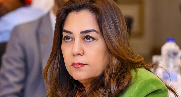 وزارة التنمية المحلية والبيئة توجّه بحملات مكثفة لرفع المخلفات من شوارع الهرم والجيزة