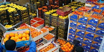 “الزراعة” تعلن خطة لتعزيز نفاذ الصادرات الزراعية المصرية للأسواق العربية والخليجية