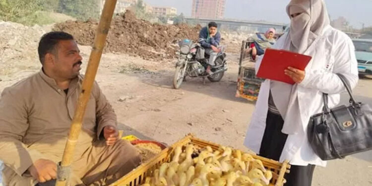 الزراعة: فحص أكثر من 555 ألف طائر و180 ألف رأس ماشية خلال فبراير