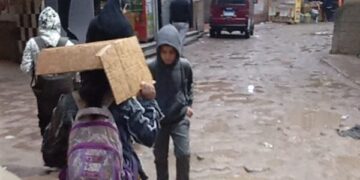 رسميًا.. تعليق الدراسة في القليوبية والجيزة بسبب سوء الأحوال الجوية