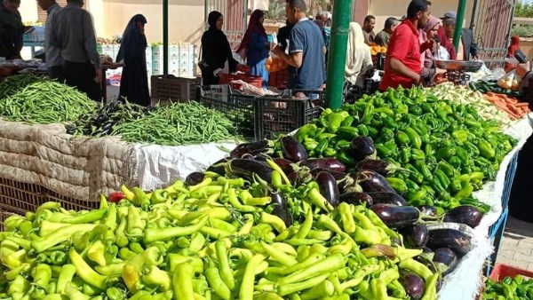 أسعار الخضار والفاكهة في مصر اليوم الإثنين