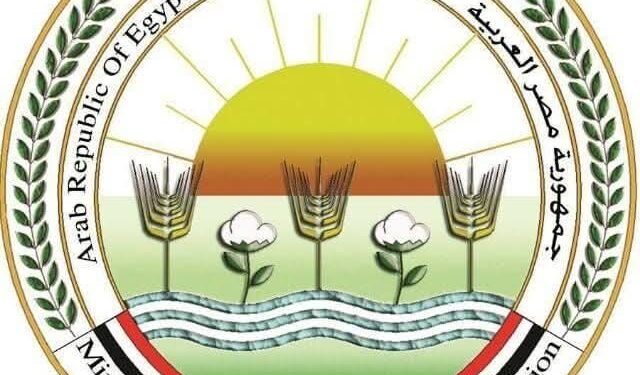 “الزراعة” تطلق الحملة القومية الأولى لعام 2026 للتحصين ضد الجلد العقدي في الأبقار وجدري الأغنام لمدة شهر