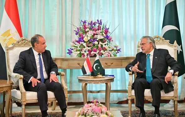 وزيرا خارجية مصر وباكستان يبحثان سبل تعزيز العلاقات الثنائية والتطورات الإقليمية