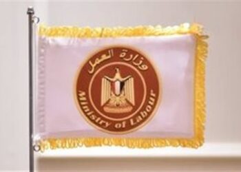 تحذير هام من وزارة العمل بشأن محاولات النصب المرتبطة بمنح العمالة غير المنتظمة