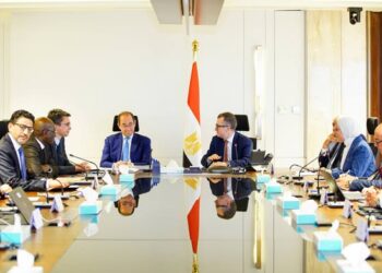 وزيرا التخطيط والمالية يبحثان مع البنك الدولي والأفريقي آليات تمويل البنية التحتية في مصر
