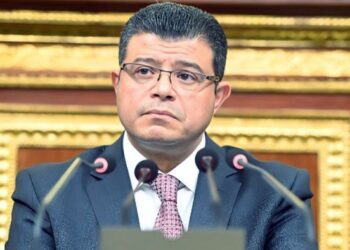 النائب محمد سليمان: المرأة المصرية حققت أسطورة نجاح على مر العصور