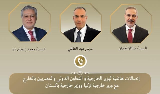 وزير الخارجية يبحث مع نظيريه الباكستاني والتركي التطورات الإقليمية وجهود خفض التصعيد