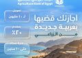 البنك الزراعي المصري يتيح قرض السيارة بقيمة 10 ملايين جنيه