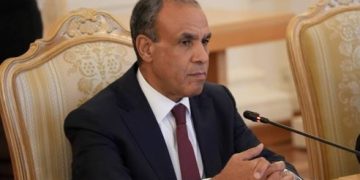 وزير الخارجية يواصل اتصالاته لبحث جهود خفض التصعيد واحتواء الموقف المتصاعد بالمنطقة