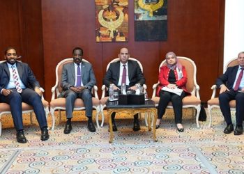 وزير العمل لنظيره السوداني: مصر لن تبخل بالدعم الفني والتدريب المهني والمساهمة في “الإعمار”