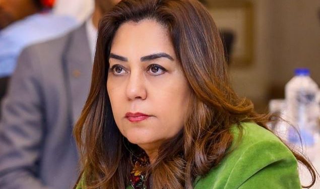 وزيرة التنمية تعلن عن تراجع تركيزات الجسيمات الصلبة “PM10”  بنسبة 41% منذ إطلاق رؤية مصر 2030