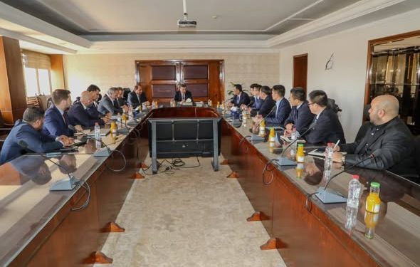 وزير الزراعة يبحث مع وفد من المستثمرين الصينيين آفاق التعاون في التصنيع الزراعي والتكنولوجيا الحديثة