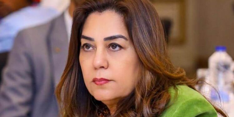 وزيرة التنمية تتابع تأثيرات العوامل البيئية على جودة الهواء خلال يومين الخميس والجمعة